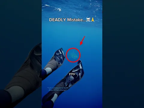 Scariest Shark Encounter💀😨…