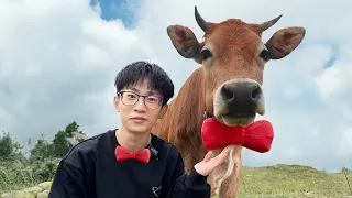 To Help Our Fan Find His Cow, We Built This...