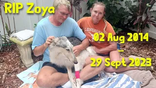 We say goodbye to a family member