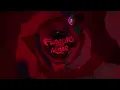 Tribo da Periferia - Furacão de Ninar (Official Music Visualizer) @duckjayreal