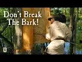 Download Lagu Building A Bark Canoe In 12 Hours? - Elm Bark Canoe Part 1