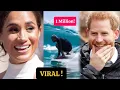 Download Lagu Meghan BREAKS Internet with Harry Surfing Video—1M Views in 1 Hour—DESTROYS UK Media Lies