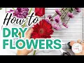Download Lagu How to Dry Flowers 5 Ways | Ultimate Guide to Drying Flowers | How to Dry Flowers at Home