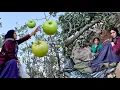 Download Lagu Maryam, Mother of the Mountains: A Story of a Refuge of Hope and Wild Fruits for Her Children