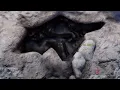 Fallout 76 - Aluminum Oil Deposit Locations C A M P Friendly