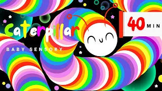 يرقة ملونة مع فقاعات مقاطع فيديو حسية للأطفال فيديو عالي التباين موسيقى ممتعة  يرقة ملونة مع فقاعات مقاطع فيديو حسية للأطفال فيديو عالي التباين موسيقى ممتعة