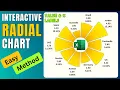 Easy Method to Create Radar Chart with Percentage Value