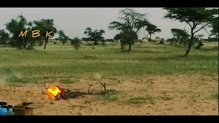 قولي أحبك  الفنان الكبير سدوم ولد ايده و المرحومة ديمي دندنها