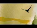 A Hundred Thousand Birds (Visualizer)