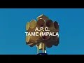 A.P.C. TAME IMPALA Interaction #25, Anthem
