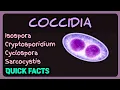 Coccidia Isospora Cryptosporidium Cyclospora Sarcocystis Parasitology Review