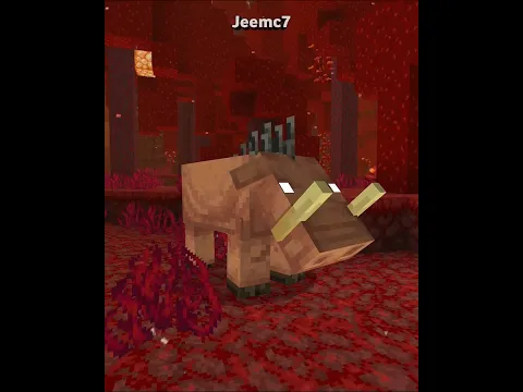 Jangan makan daging hoglin! #minecraft #creepypasta #shorts