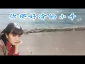銀霞 校園民謠 - 你那好冷的小手 💖 | #銀霞 | #校園民谣 | #最經典老歌 | #瓊瑤電影主題曲 | Golden Oldies