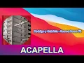 Rodrigo y Gabriela - Somos Como Tú (ACAPELLA) Vocals Only