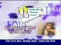 Panhandle Humane - Society