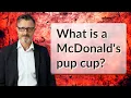 What is a McDonald s pup cup