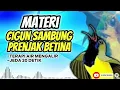 Download Lagu MASTERAN SOGON CIGUN SAMBUNG PRENJAK BETINA JEDA DAN TERAPI AIR!! #sogon #sogongacor #sogokontong