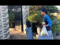 Download Lagu Menjawab komentar netijen. Emangnya orang Eropa bisa beli rumah di Indonesia? Ini jawabannya