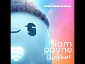 Download Lagu Liam Payne - Sunshine (Official Audio)