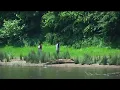 Volunteers conducting weekly tests of James River s water quality