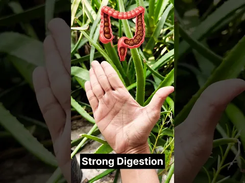 Constipation Gone!