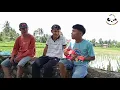 Download Lagu Vloc ukuelele || selingkuh - lacy bend ||cover raza tv