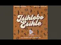 Download Lagu Isihlobo Esihle (feat. Sbani the Vocalist)