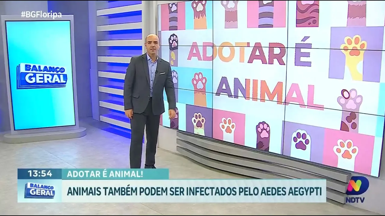 Adotar é Animal - Animais também podem ser infectados pelo Aedes aegypti