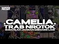 Download Lagu DJ CAMELIA TRAB NROTOK SUDAHLAH JANGAN MENANGIS LAGI || BANG PEN PROJECT