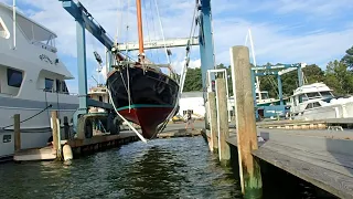 Hard work, on the hard … then back in the water!