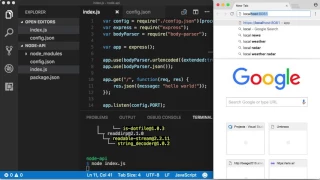 Express Body Parser and Nodemon - Lesson 2