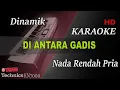 Download Lagu DINAMIK - DI ANTARA GADIS ( NADA RENDAH PRIA ) || KARAOKE
