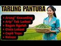 Download Lagu TARLUNG PANTURA - LAGU YARLING PANTURAAN DERMAYON CIREBONAN
