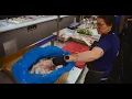 Day in the Life - Mets Clubhouse Chefs