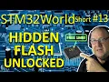 STM32 Secret - FREE Hidden Flash STM32 Short