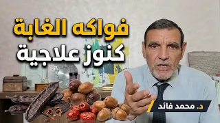 الدكتور محمد فائد // فواكه غابوية لا يعرفها الناس كثيرا ثمار الدوم (أغاز) والنبق والخروب والبلوط