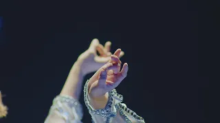 KinKi Kids「ボクの背中には羽根がある」【from KinKi Kids Concert 2024-2025 ～DOMOTO～】