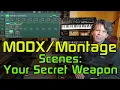 Scenes Parts and Elements Your Performance Secret Weapons