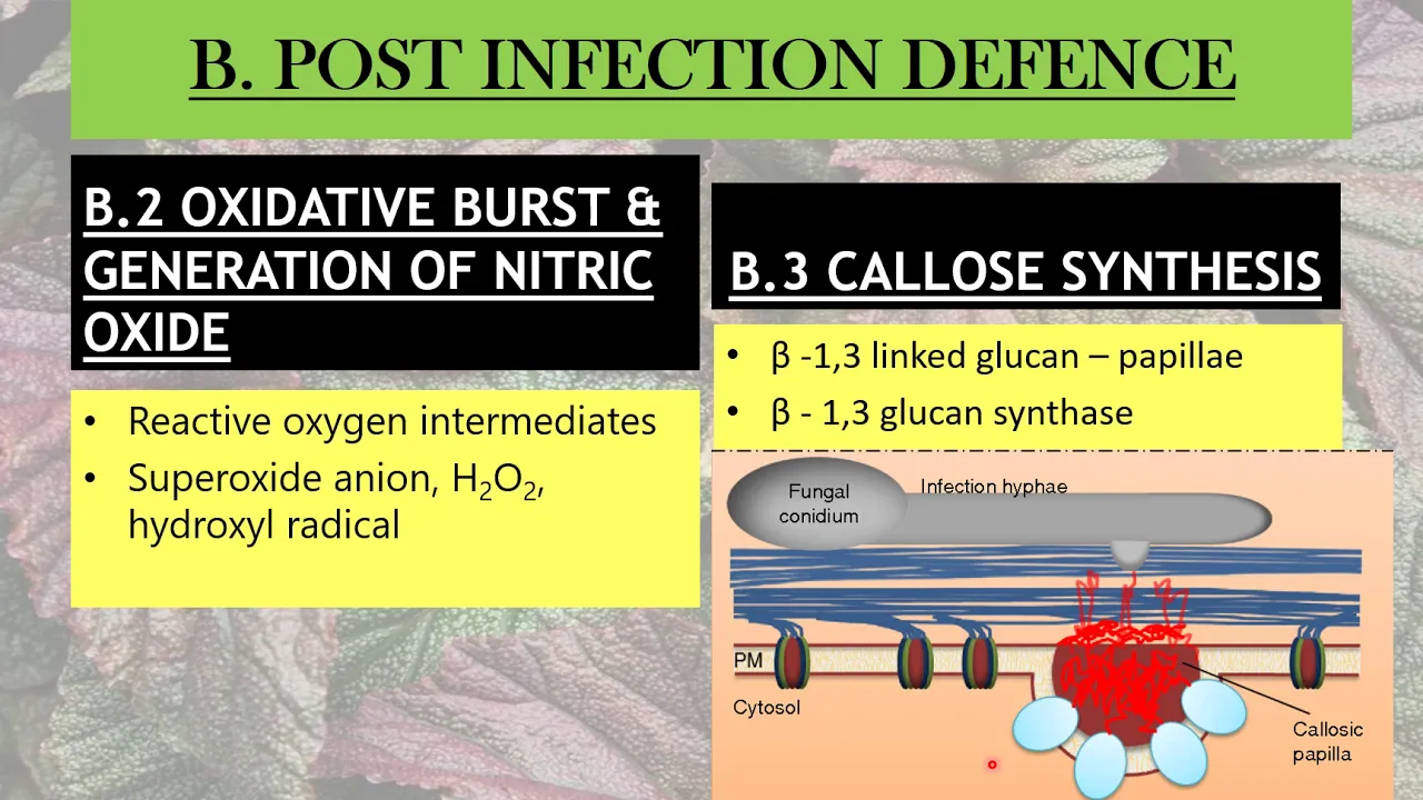 Active Biochemical Defense Mechanisms in Plants | Phytopathology