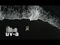 Jworra, Leo Stannard - Check Out