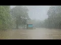 Download Lagu 2 Hari Berpetualang Di Rumah Rakit Bersama Istri Tidur Nyenyak Di Guyur hujan Semalaman