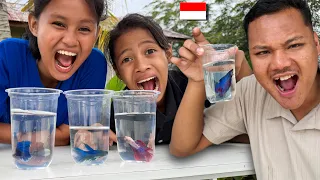 tantangan nyari ikan cupang bareng bocil