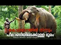 Download Lagu 9 പേരെ കൊന്ന് കാടും നാടും വിറപ്പിച്ചത് ഇവൻ തന്നെയാണോ? Peelandi Chandru Elephant | പീലാണ്ടി | Kodanad