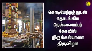 கொடியேற்றத்துடன் தொடங்கிய நெல்லையப்பர் கோவில் திருக்கல்யாண திருவிழா! Nellaiappar Thirukalyanam