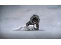 Video di Never Alone (Official Launch Trailer)