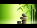 Zen Music for Ambient: Background Music for Feng Shui e Mind Relaxation