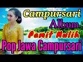 Download Lagu PAMIT MULIH DANGDUT JAWA KOPLO