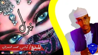 الشاعر كباشي محمد الشعراني غزل 