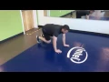 Bear Crawl-Multidirectional