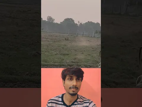 हम सिर्फ जंगल ही नहीं काट रहे...किसी का घर भी तबाह कर रहे 🥺